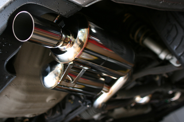 531 syokuou1 IMG_9256.jpg